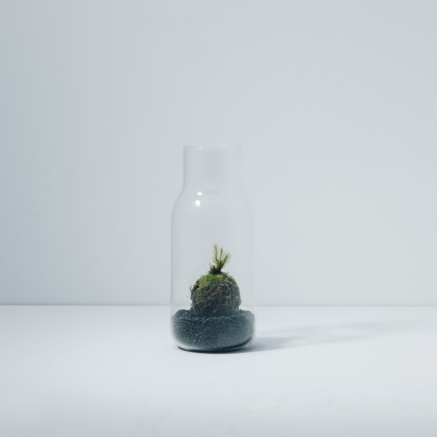Odai Fragrant Moss