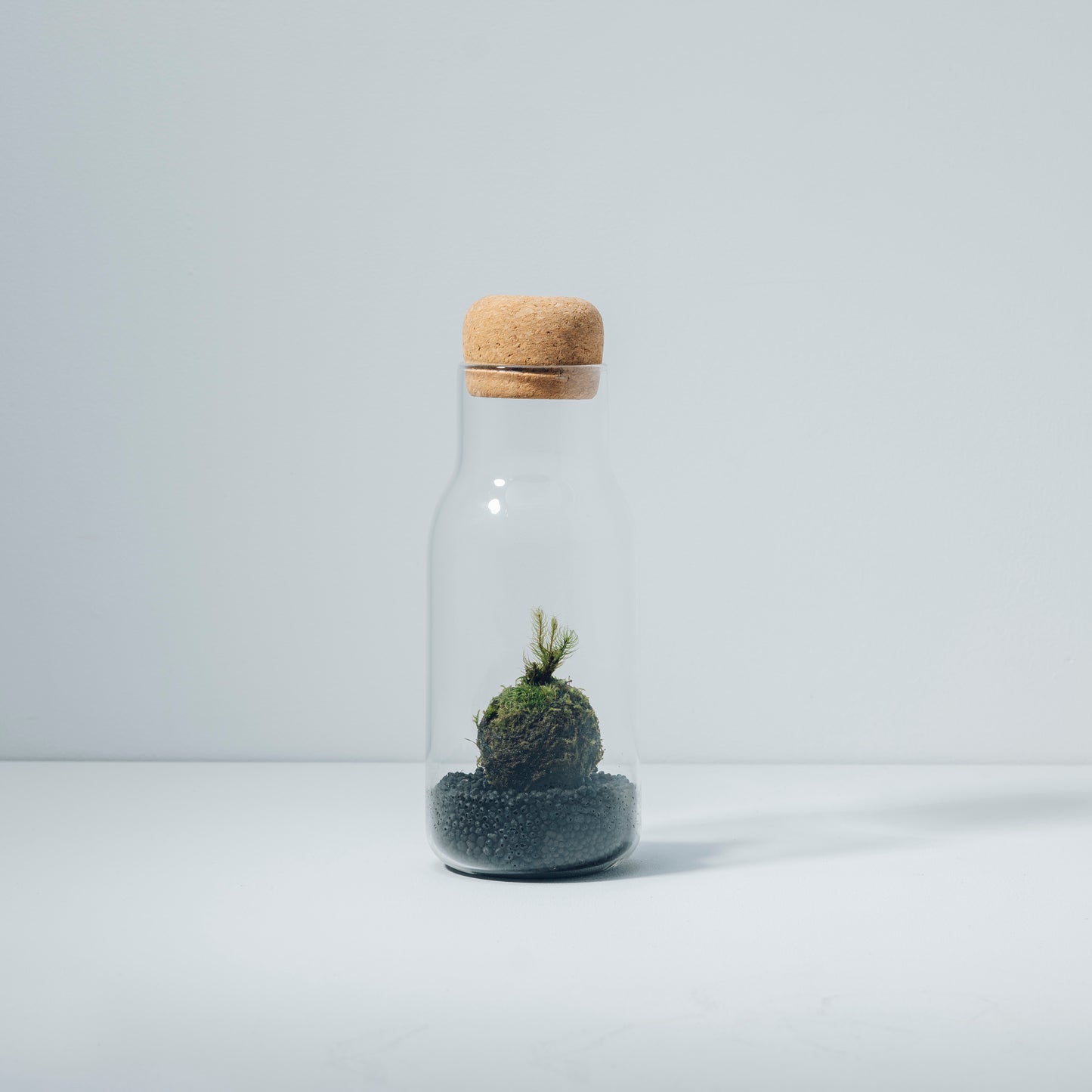 Odai Fragrant Moss